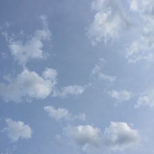 Meet your Posher, Leah-rose